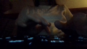 secrettimexxx