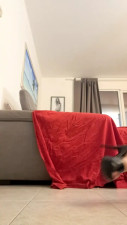 Watch Sexy___Morena recorded live streams from CAM4 on 2025/03/26, Cam Archive