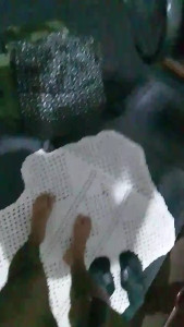 Ninobrasil79