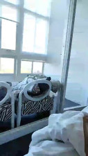 Watch alolocolosdos recorded live streams from CAM4 on 2025/03/30, Cam Archive