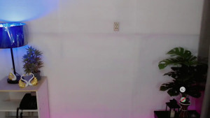 anitaguen
