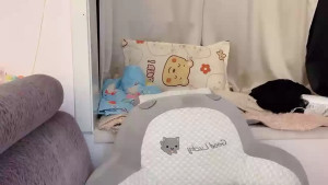 nina520