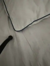 Watch EgyptianMilf2025 recorded live streams from Stripchat on 2025/04/05, Cam Archive