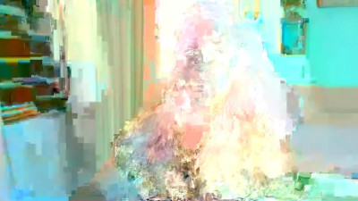 Watch tamy_shine87 recorded live streams from Chaturbate on 2025/04/05, Cam Archive