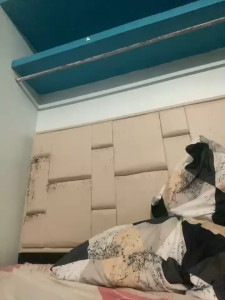 mysteriousgirl20
