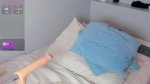 amy_vans_