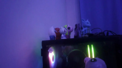 Watch bad_doll_bb recorded live streams from Stripchat on 2025/04/23, Cam Archive