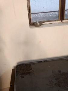 riya_sharma011