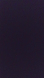 ALESSIO8000
