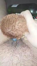 Watch AuroraLive recorded live streams from CAM4 on 2025/05/05, Cam Archive