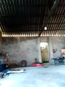 tara_0000